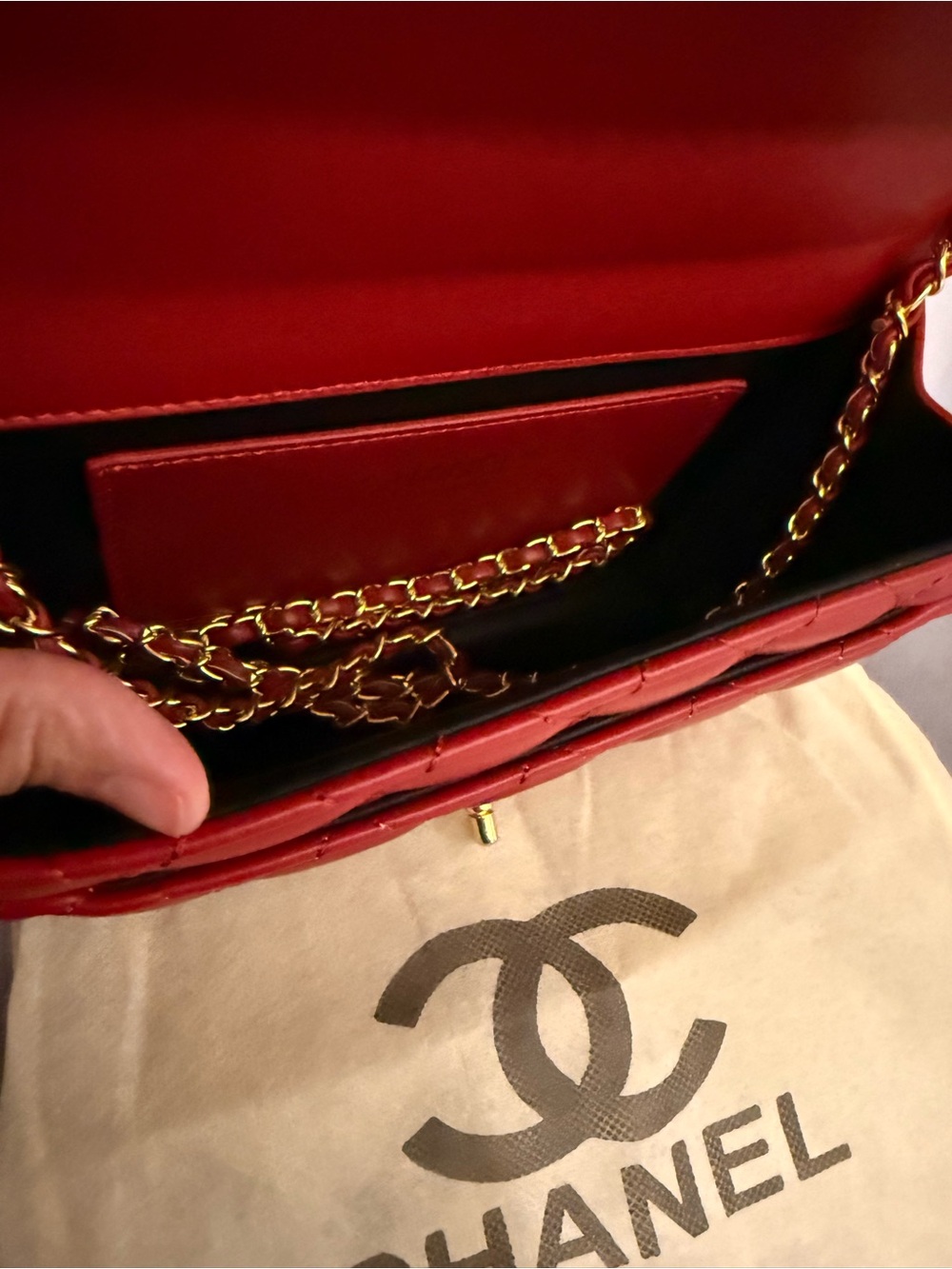 MINI LUXURY BAG - Picture 11 of 16